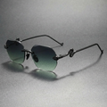 Antibes Snake-Temple Sunglasses — Hopeforwho